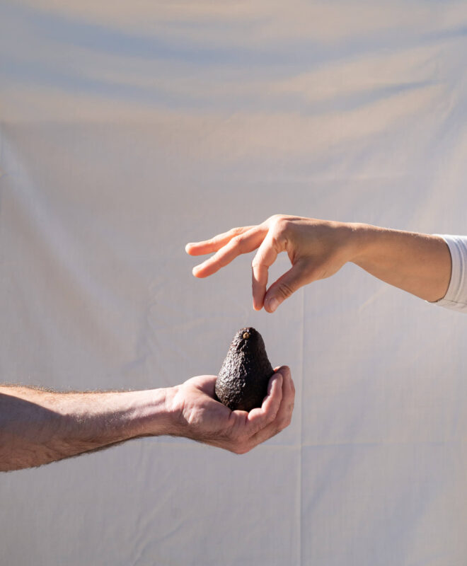 Ondu-hass-aguakateak-aguacates